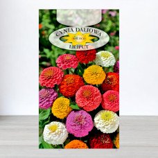 Насіння цинії карликової Ліліпут Суміш, Roltico, Польща, 0,5г