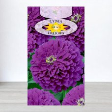 Насіння цинії Фіолетової, Roltico, Польща, 1г