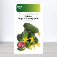 Насіння інкрустоване огірка бджолозапильного Воргебіргштраубе, Німеччина, Marvel, 1г