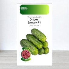 Насіння інкрустоване огірка партенокарпічного Зятьок F1, Молдова, Marvel, 1г