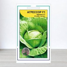 Насіння капусти білоголової Агресор F1, АПГ Syngenta Seeds BV, Нідерланди, 20 насінин