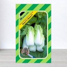 Насіння капусти пекiнської Білко F1, АПГ Bejo Zaden BV, Нідерланди, 20 насінин