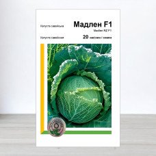 Насіння капусти савойської Мадлен F1, АПГ Rijk Zwaan, Нідерланди, 20 насінин