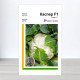 Насіння капусти кольорової Каспер F1, АПГ Rijk Zwaan, Нідерланди, 20 насінин