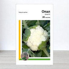 Насіння капусти кольорової Опал F1, АПГ Rijk Zwaan, Нідерланди, 20 насінин