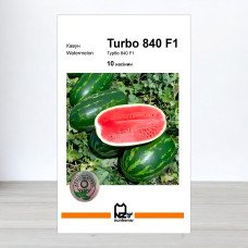 Насіння кавуна Турбо 840 F1, АПГ Nunhems, Нідерланди, 10 насінин