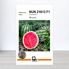 Насіння кавуна НУН 21613 F1, АПГ Nunhems, Нідерланди, 10 насінин