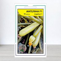 Насіння кабачка Ангеліна F1, АПГ Syngenta Seeds BV, Нідерланди, 10 насінин