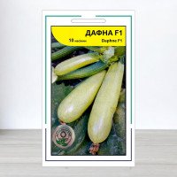 Насіння кабачка Дафна F1, АПГ Syngenta Seeds BV, Нідерланди, 10 насінин