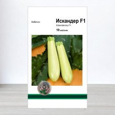 Насіння кабачка Іскандер F1, АПГ Monsanto Holland BV, Нідерланди, 10 насінин