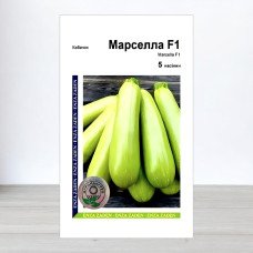 Насіння кабачка Марселла F1, АПГ Enza Zaden, Нідерланди, 5 насінин