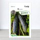 Насіння кабачка Тапір, АПГ Moravoseed, Чехія, 10 насінин