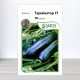 Насіння кабачка Термінатор F1, АПГ Moravoseed, Чехія, 10 насінин