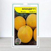 Насіння дині Фландер F1, АПГ Syngenta Seeds BV, Нідерланди, 10 насінин