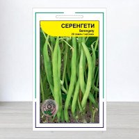 Насіння квасолі Серенгеті, АПГ Syngenta Seeds BV, Нідерланди, 20 насінин