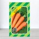 Насіння моркви Каскад F1, АПГ Bejo Zaden BV, Нідерланди, 1г