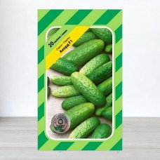 Насіння огірка Акорд F1 F1, АПГ Bejo Zaden BV, Нідерланди, 20 насінин