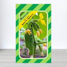 Насіння огірка Артист F1, АПГ Bejo Zaden BV, Нідерланди, 10 насінин