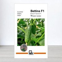 Насіння огірка Бетіна F1, АПГ Nunhems, Нідерланди, 10 насінин