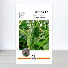 Насіння огірка Бетіна F1, АПГ Nunhems, Нідерланди, 10 насінин