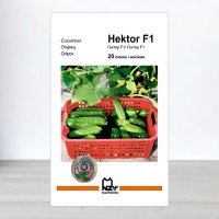 Насіння огірка Гектор F1, АПГ Nunhems, Нідерланди, 20 насінин