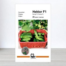 Насіння огірка Гектор F1, АПГ Nunhems, Нідерланди, 20 насінин