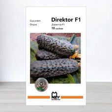 Насіння огірка Директор F1, АПГ Nunhems, Нідерланди, 10 насінин