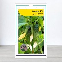 Насіння огірка Еколь F1, АПГ Syngenta Seeds BV, Нідерланди, 10 насінин