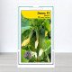 Насіння огірка Еколь F1, АПГ Syngenta Seeds BV, Нідерланди, 10 насінин