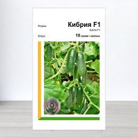 Насіння огірка Кібрія F1, АПГ Rijk Zwaan, Нідерланди, 10 насінин