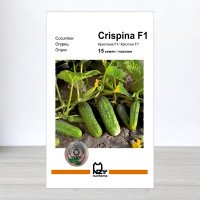 Насіння огірка Кріспіна F1, АПГ Nunhems, Нідерланди, 15 насінин