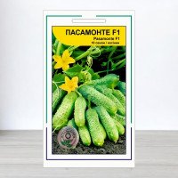 Насіння огірка Пасамонте F1, АПГ Syngenta Seeds BV, Нідерланди, 10 насінин
