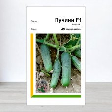 Насіння огірка Пучіні F1, АПГ Rijk Zwaan, Нідерланди, 20 насінин