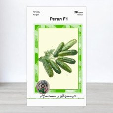 Насіння огірка Регал F1 F1, АПГ Clause Tezier, Франція, 20 насінин