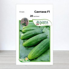 Насіння огірка Сантана F1, АПГ Moravoseed, Чехія, 20 насінин