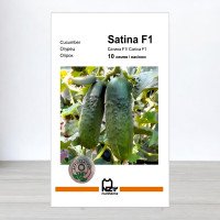 Насіння огірка Сатіна F1, АПГ Nunhems, Нідерланди, 10 насінин