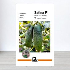 Насіння огірка Сатіна F1, АПГ Nunhems, Нідерланди, 10 насінин