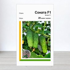 Насіння огірка Соната F1, АПГ Rijk Zwaan, Нідерланди, 20 насінин