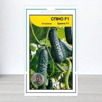 Насіння огірка Спіно F1, АПГ Syngenta Seeds BV, Нідерланди, 10 насінин