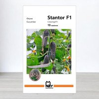 Насіння огірка Стентор F1, АПГ Nunhems, Нідерланди, 10 насінин