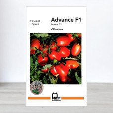 Насіння томату Адванс F1, АПГ Nunhems, Нідерланди, 20 насінин