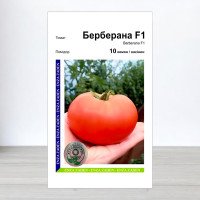 Насіння томату Берберана F1, АПГ Enza Zaden, Нідерланди, 10 насінин