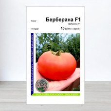 Насіння томату Берберана F1, АПГ Enza Zaden, Нідерланди, 10 насінин