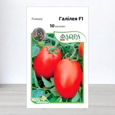 Насіння томату Галілея F1, АПГ Hazera Seeds, Ізраїль, 10 насінин
