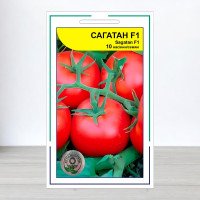 Насіння томату Сагатан F1, АПГ Syngenta Seeds BV, Нідерланди, 10 насінин