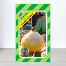 Насіння цибулі Ексібішин, АПГ Bejo Zaden BV, Нідерланди, 1г