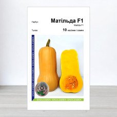 Насіння гарбуза Матільда F1, АПГ Enza Zaden, Нідерланди, 10 насінин