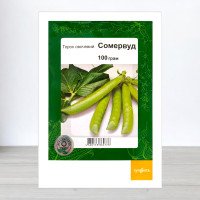 Насіння гороху цукрового Сомервуд, АПГ Syngenta Seeds BV, Нідерланди, 100г