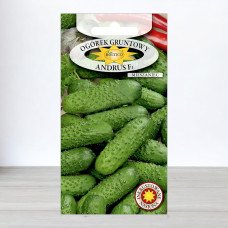 Насіння огірка бджолозапильного Андрус F1, Roltico, Польща, 5г