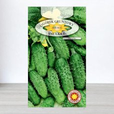 Насіння огірка бджолозапильного Анулька F1, Roltico, Польща, 5г